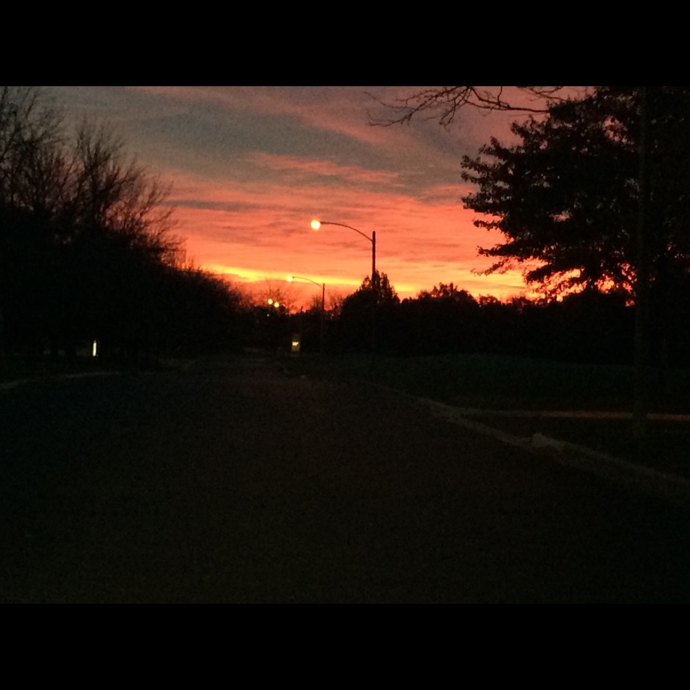 Meet your Posher, Wendy